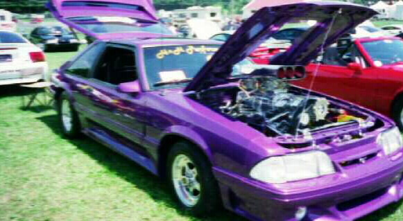 purple beast